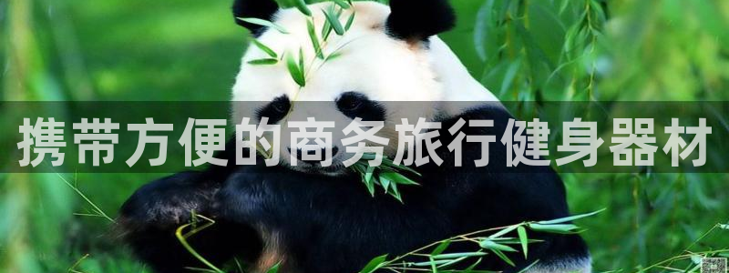 意昂体育3招商电话号码查询：携带方便的商务旅行健身器
