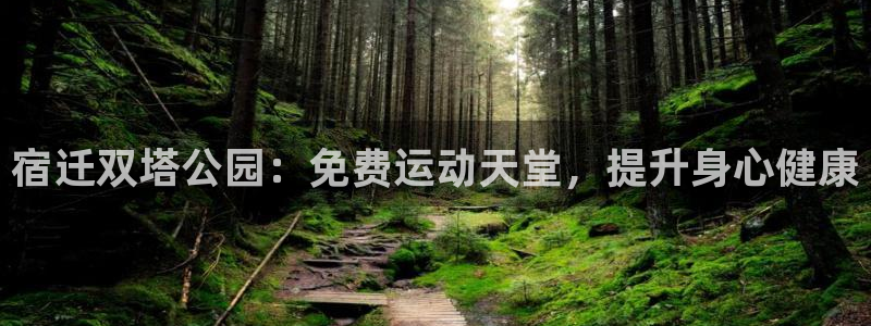 意昂体育3注册：宿迁双塔公园：免费运动天堂，提升身心