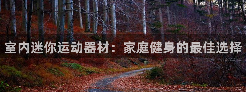 意昂体育3平台是正规平台吗安全吗：室内迷你运动器材：