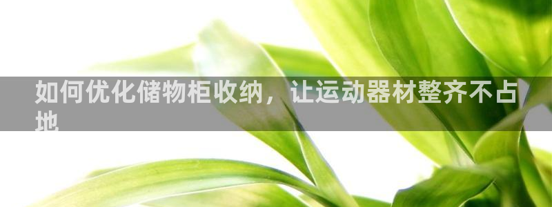 意昂体育3平台注册要钱吗安全吗：如何优化储物柜收纳，