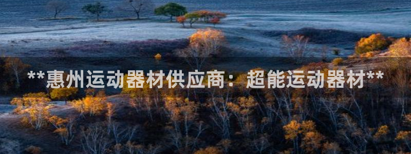 意昂3集团E.ON：**惠州运动器材供应商：超能运动