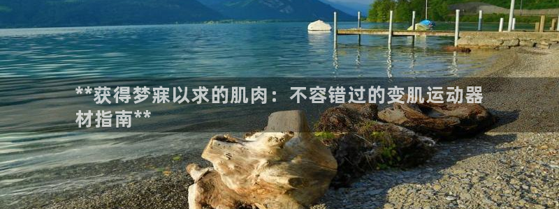 意昂平台体育