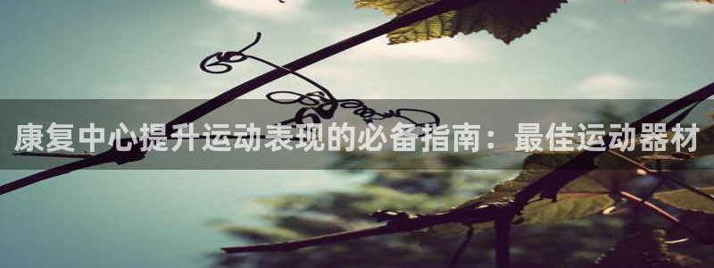 海南意昂体育3发展怎么样：康复中心提升运动表现的必备