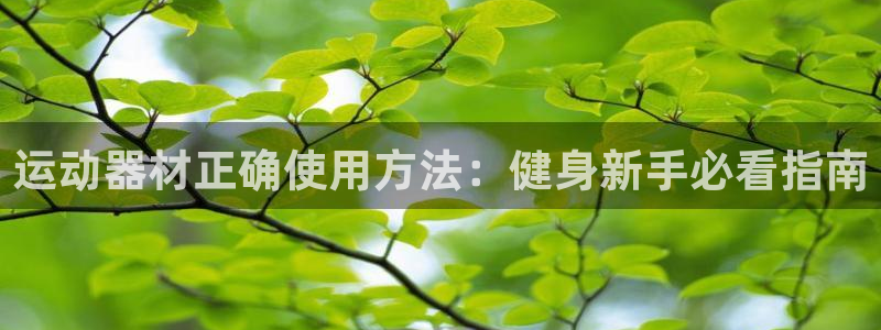 意昂3五金厂：运动器材正确使用方法：健身新手必看指南