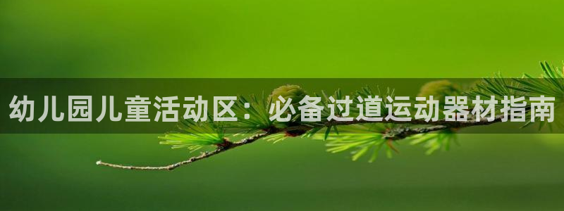 意昂体育3开户：幼儿园儿童活动区：必备过道运动器材指