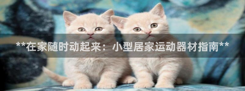 注册意昂3：**在家随时动起来：小型居家运动器材指南