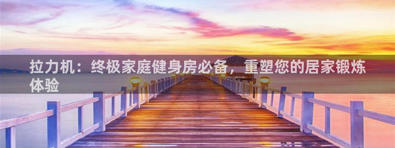 意昂体育3平台：拉力机：终极家庭健身房必备，重塑您的