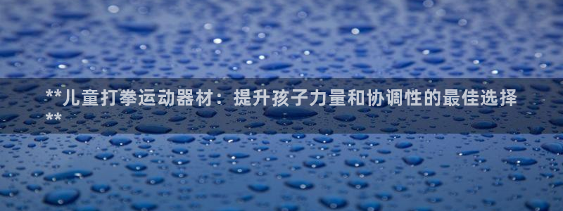 注册意昂3：**儿童打拳运动器材：提升孩子力量和协调