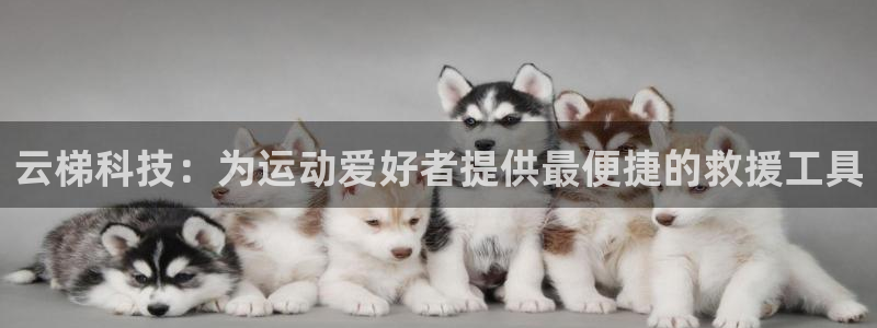 意昂体育3平台是正规平台吗