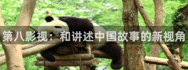 悟空视频官网