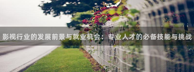 悟空影院免费观看电视剧