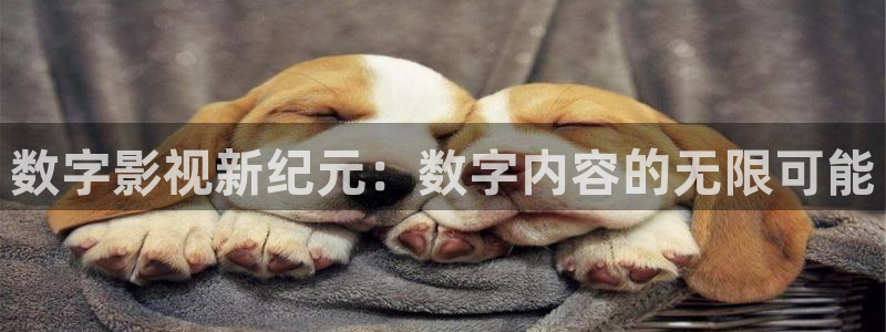 悟空电影在线观看