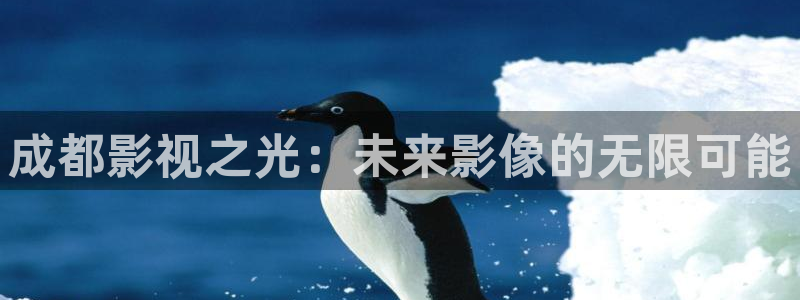 悟空电影高清在线观看