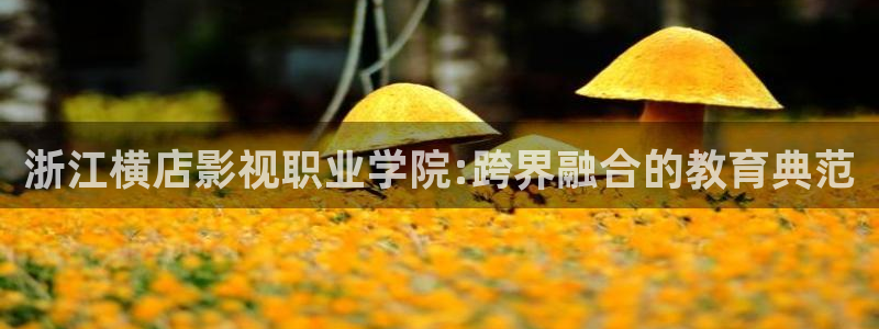 悟空观看