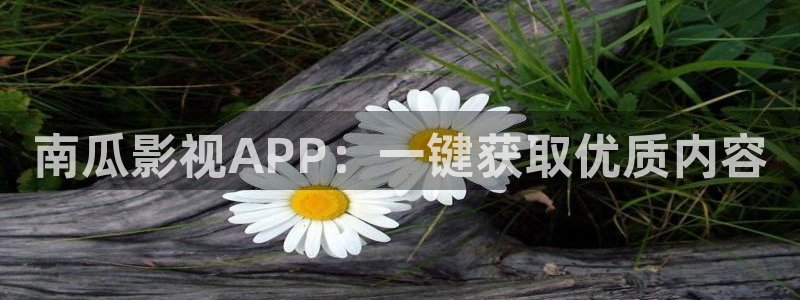 悟空视频短剧