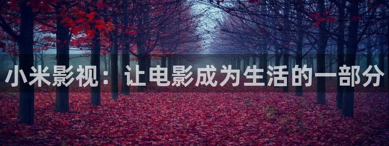 悟空影视视频
